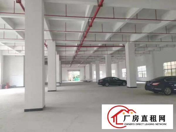  企石镇新出原房东经典小独院标准厂房