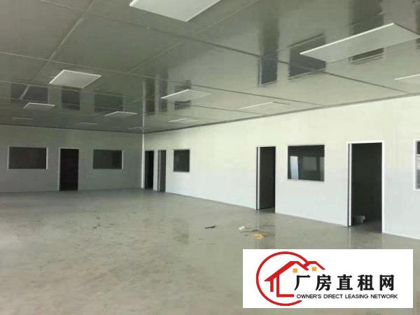  企石镇新出原房东经典小独院标准厂房