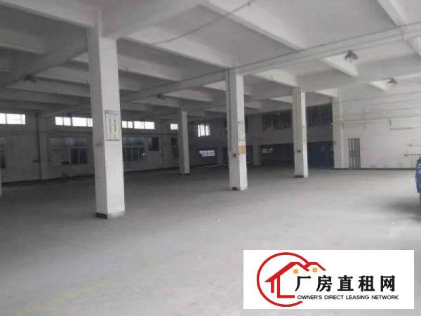  企石镇新出原房东经典小独院标准厂房