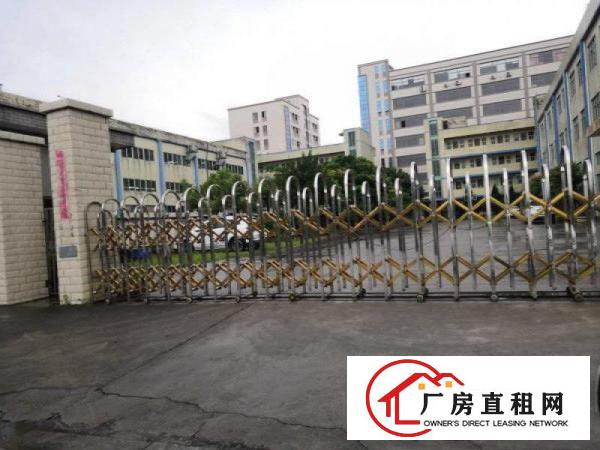  企石镇新出原房东经典小独院标准厂房