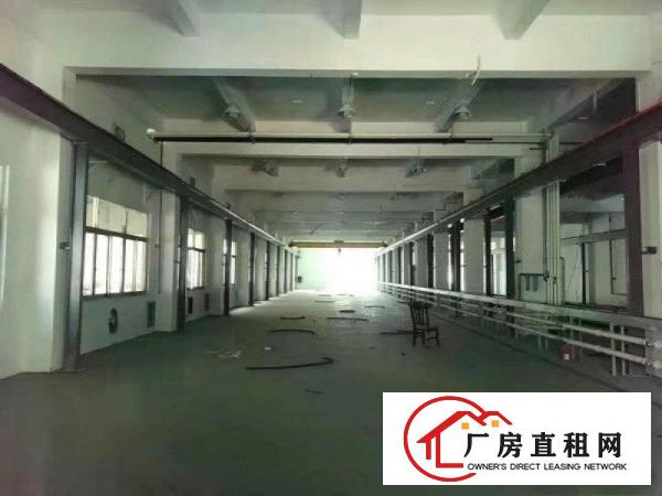  企石镇新出原房东经典小独院标准厂房