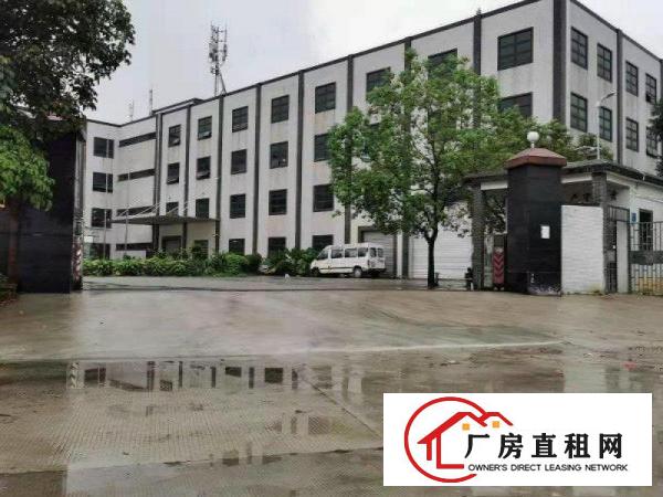  企石镇新出原房东经典小独院标准厂房