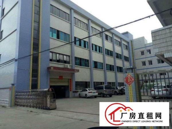  企石镇新出原房东经典小独院标准厂房