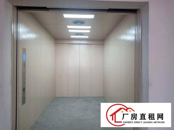  企石镇独院厂房出租，本地房东