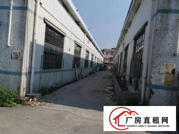  企石工业园10栋钢构厂房12800平出租可分租