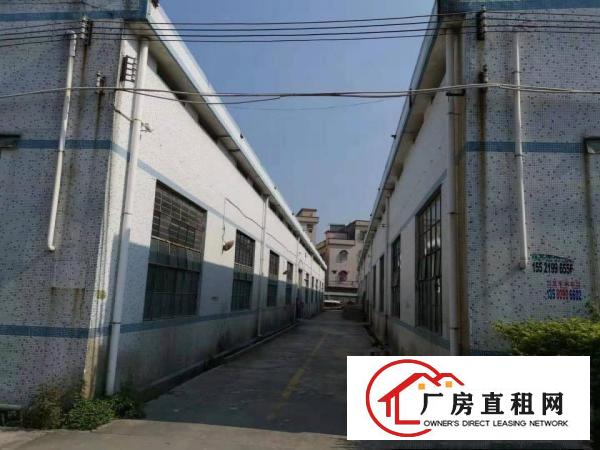  企石工业园10栋钢构厂房12800平出租可分租