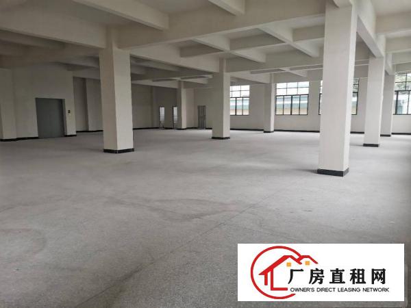  原房东独户厂房一栋二层600平方