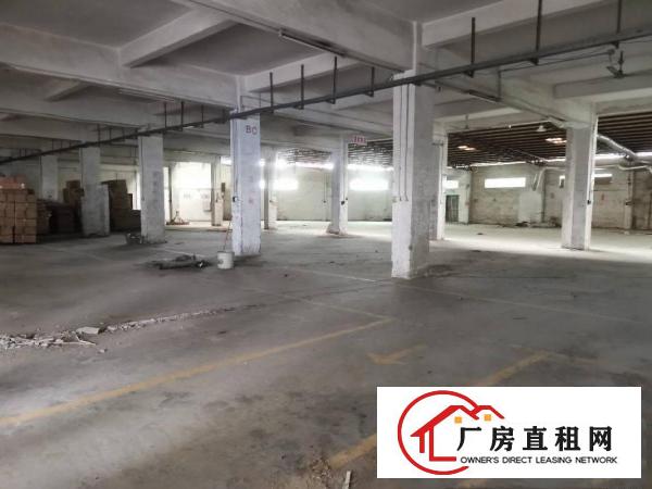  原房东独户厂房一栋二层600平方