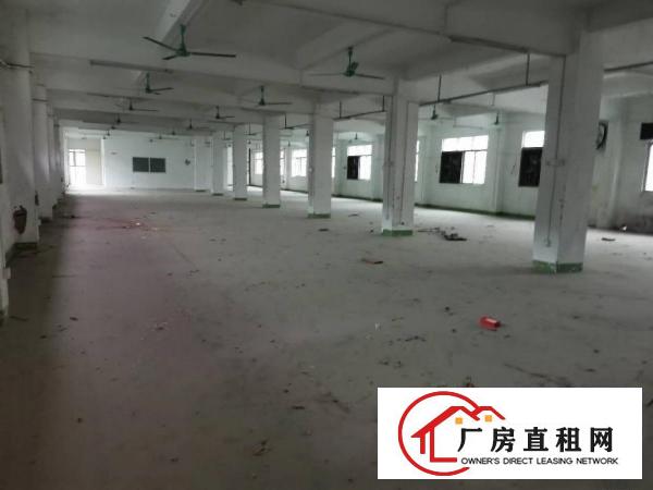  原房东独户厂房一栋二层600平方