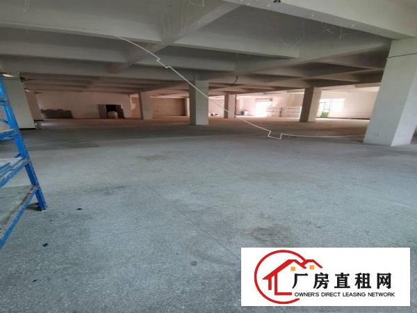  原房东独户厂房一栋二层600平方