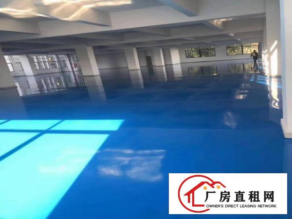  全新地板漆楼上900平方出租