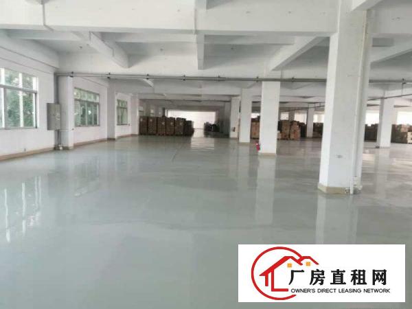  全新地板漆楼上900平方出租
