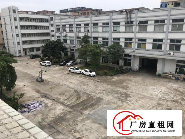  东莞企石原房东红本标准6000平方6米高全新厂房出租可做污染