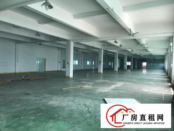  东莞企石原房东红本标准6000平方6米高全新厂房出租可做污染