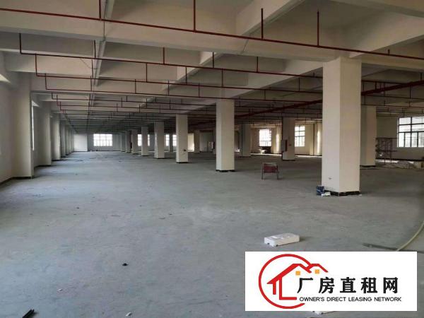  东莞企石镇新出独门独院带喷淋消防标准厂房5600平方出租
