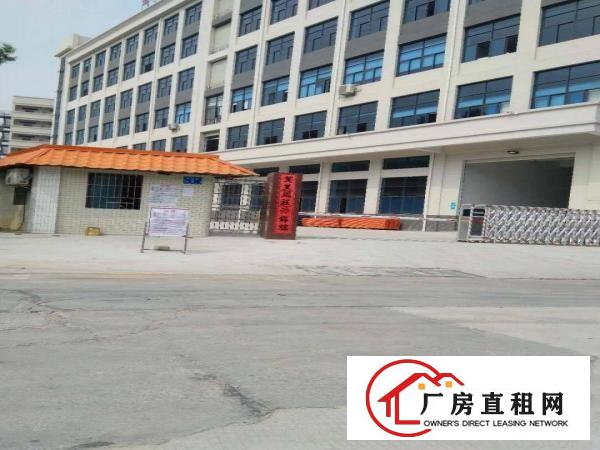 企石镇新出可做喷涂喷粉全新标准厂房，带现成环评，有消防喷淋