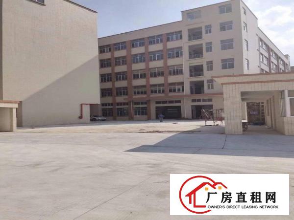  企石镇新出可做喷涂喷粉全新标准厂房，带现成环评，有消防喷淋