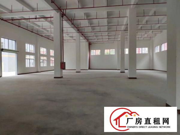  企石镇新出可做喷涂喷粉全新标准厂房，带现成环评，有消防喷淋