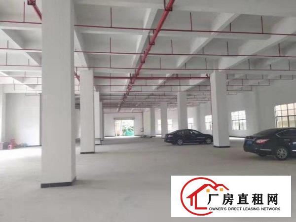  企石镇新出可做喷涂喷粉全新标准厂房，带现成环评，有消防喷淋