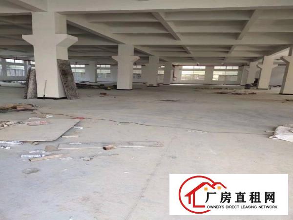  企石镇新出可做喷涂喷粉全新标准厂房，带现成环评，有消防喷淋