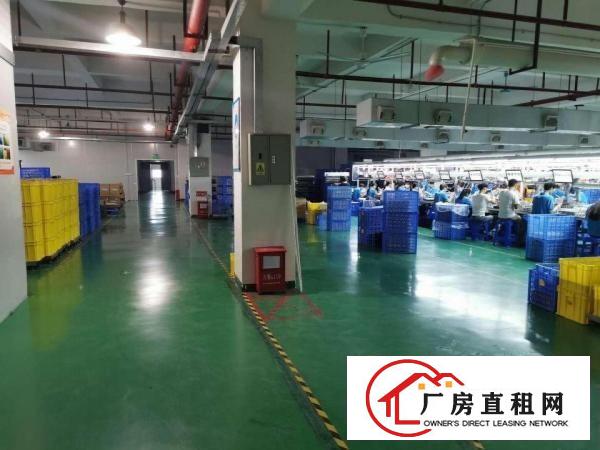  东莞企石镇清湖大工业园楼上标准一层1500带精装修厂房出租