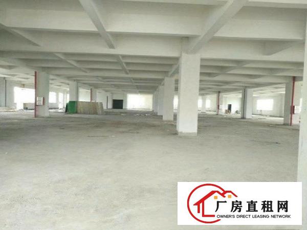  原房东小独院厂房东莞标准厂房包办环评带货梯证件齐全