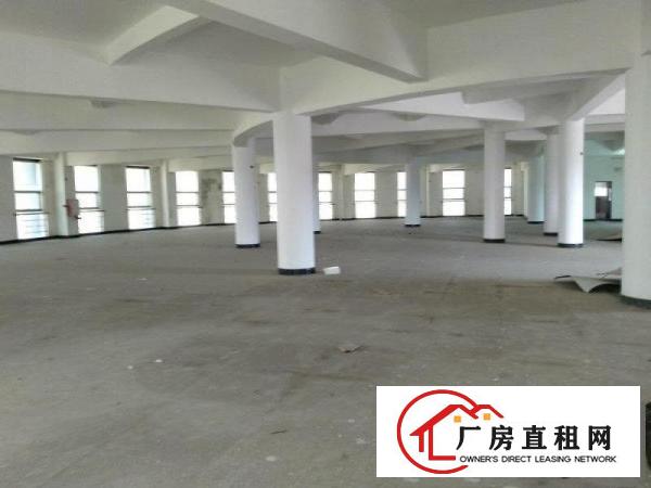  原房东小独院厂房东莞标准厂房包办环评带货梯证件齐全