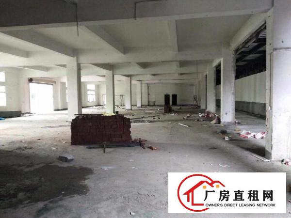  企石镇新出原房东标准厂房一楼1000平方，无公摊无杂费