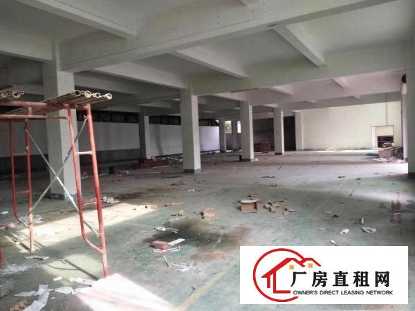  企石镇新出原房东标准厂房一楼1000平方，无公摊无杂费