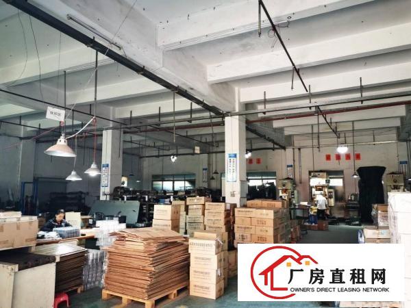  企石镇村委独院标准厂房出租大小可分租工业用地空地大交通方便