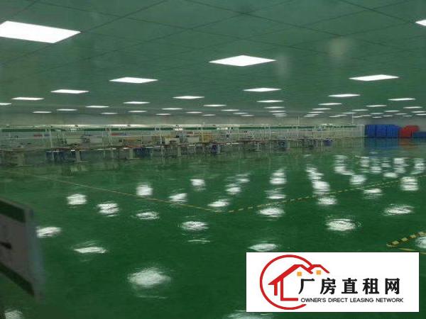  房东自用小加工厂房价格便宜实用300平方