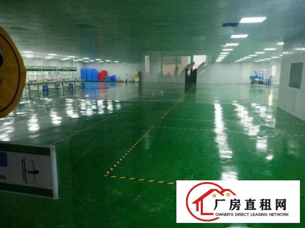  房东自用小加工厂房价格便宜实用300平方