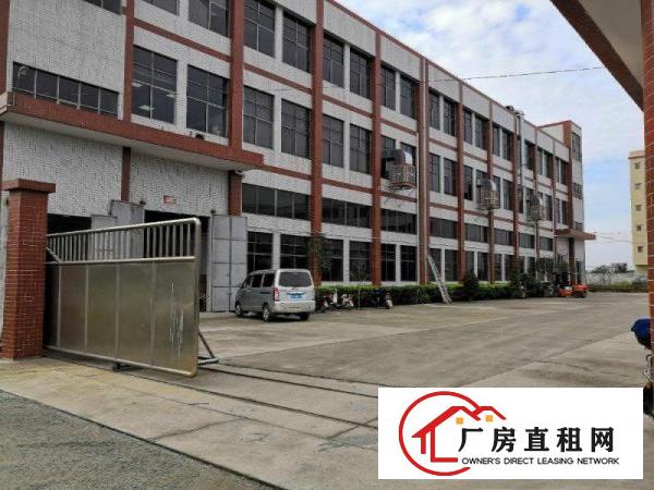  东莞独院厂房原房东便宜配宿舍食堂工业用地交通方便