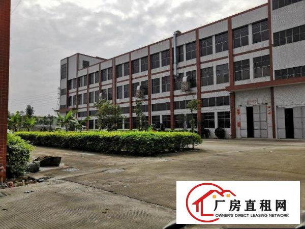  东莞独院厂房原房东便宜配宿舍食堂工业用地交通方便
