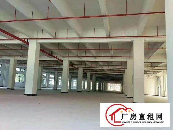  东莞标准厂房出租国有土地可办环评企石独院厂房成熟工业区