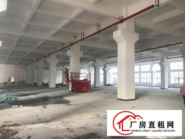  东莞市企石镇有voc排量标准厂房7.5米大小分租30W平方