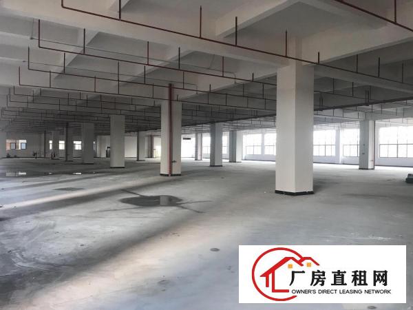  东莞市企石镇有voc排量标准厂房7.5米大小分租30W平方