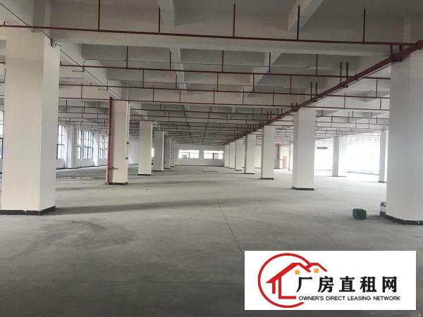  东莞市企石镇有voc排量标准厂房7.5米大小分租30W平方