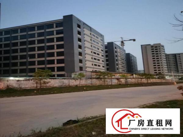  东莞市企石镇有voc排量标准厂房7.5米大小分租30W平方