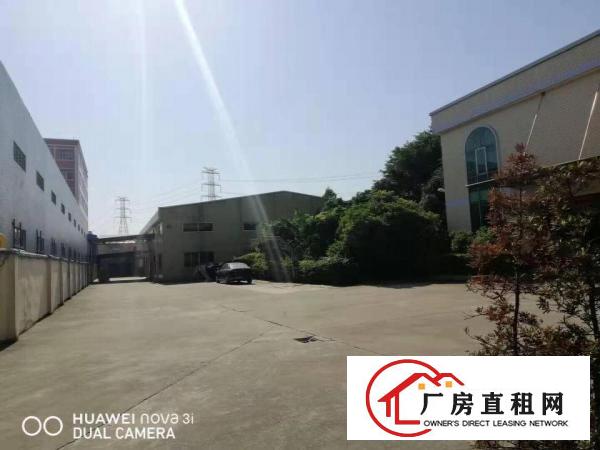  企石镇新出独院单一层厂房4100平方,原房东无公摊
