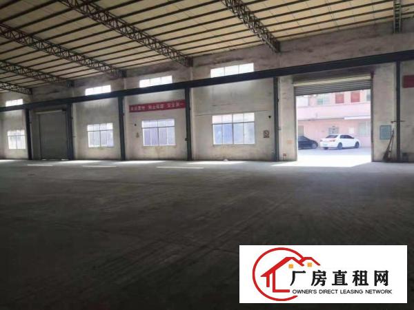  企石镇新出独院单一层厂房4100平方,原房东无公摊