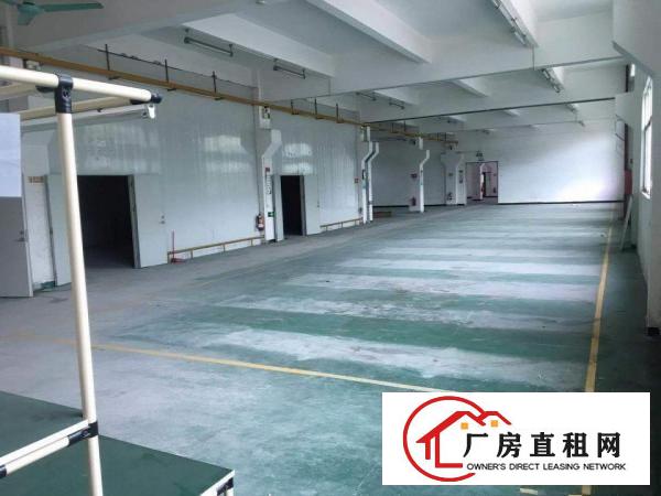  东莞企石新出小独院标准厂房3000平方出租或分租