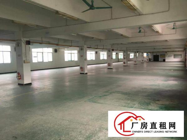  东莞企石新出小独院标准厂房3000平方出租或分租