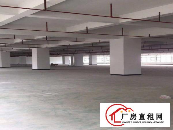  企石原房东独门独院12000平方厂房出租！
