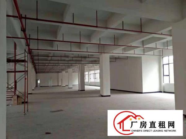  企石原房东独门独院12000平方厂房出租！