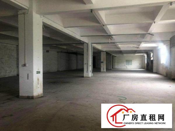  隔坑本地房东自家厂房800平方交通便利