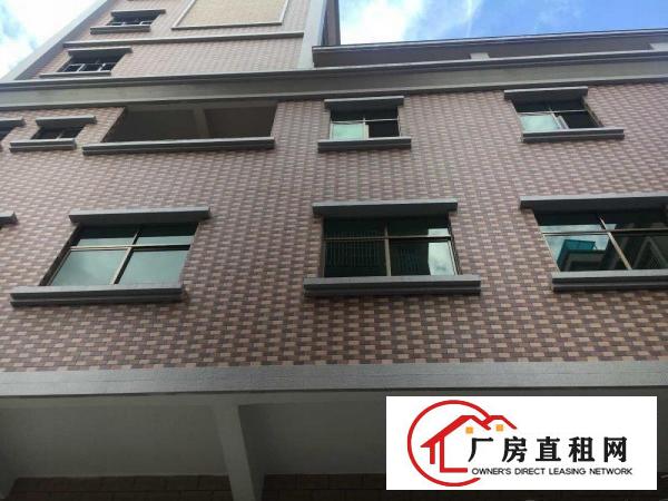  出租横沥镇隔坑下车岗