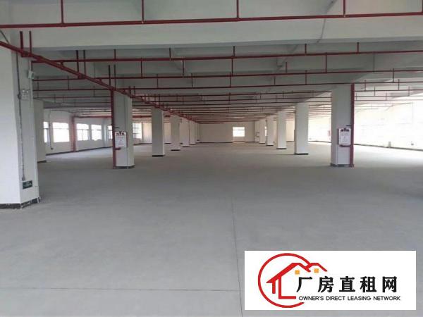  全新厂房招租带红本，整租分租都可