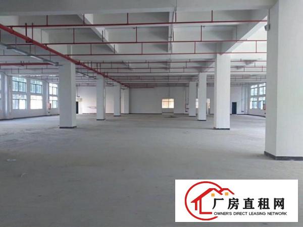  全新厂房招租带红本，整租分租都可