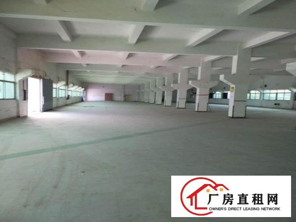  三江工业区独门独院厂房招租